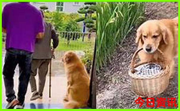 旅游团app排行榜前十名
