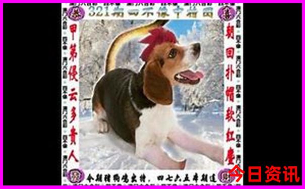 暑假穷游适合去哪里